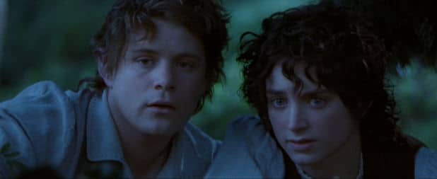 Frodo Beutlin. Frodo und Sam sehen Waldelben im Auenland